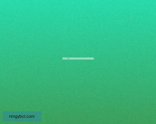 无主之地2改枪技巧全面解析打造专属武器的极限体验