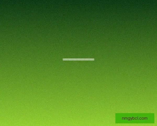 误导宏技术与应用解析：如何识别与防范潜在安全威胁